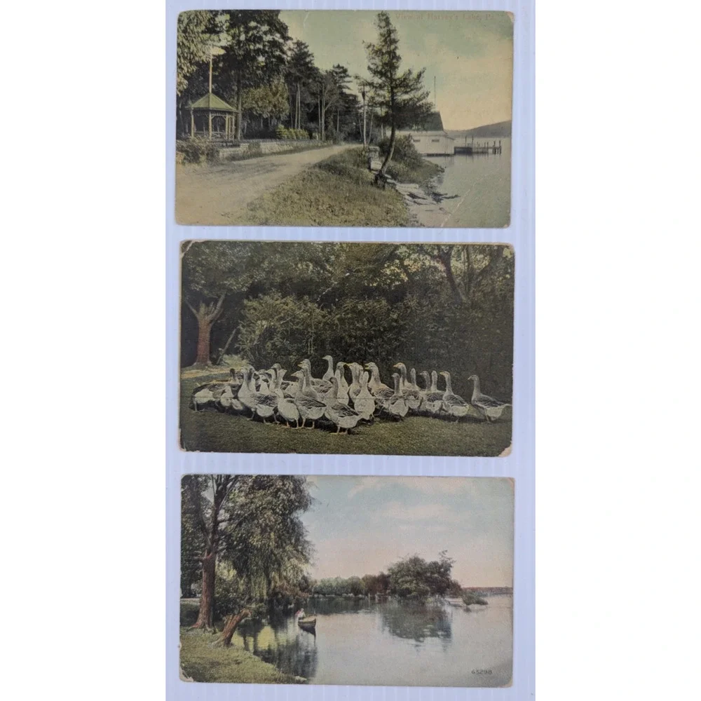 Antique Postcard Picture Card Ephemera Assorted Lot of 7